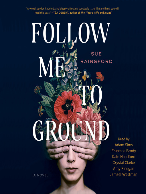 Title details for Follow Me to Ground by Sue Rainsford - Available
